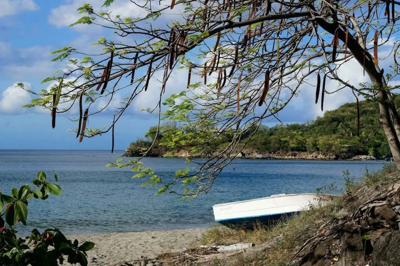 Holiday home Karureve Villa Deshaies Guadeloupe