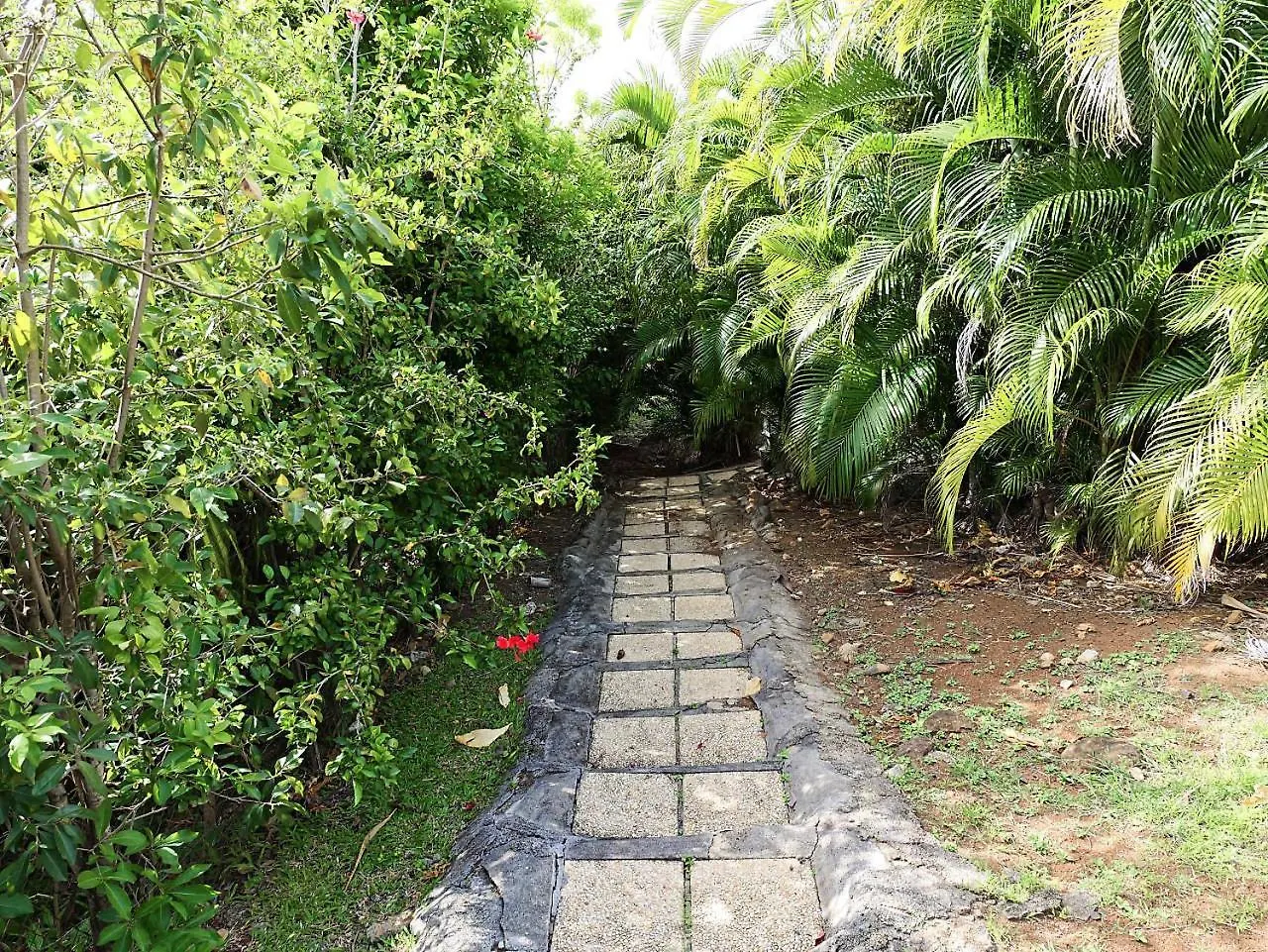 Karureve Villa Deshaies Guadeloupe